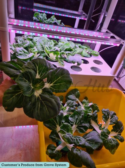 Grove Hydroponics 4 Tier System Starter Set Soiless NFT Gardening Indoor Urban Farm System - Image 6