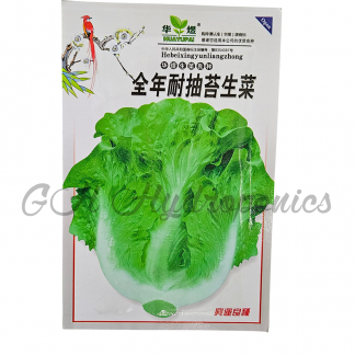 China Lettuce Seeds