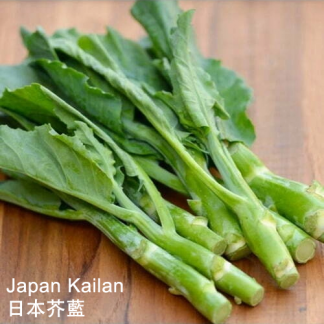 Japan Kailan Seeds